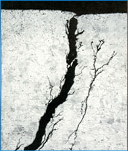 Spiderweb Pitting Stainless Steel